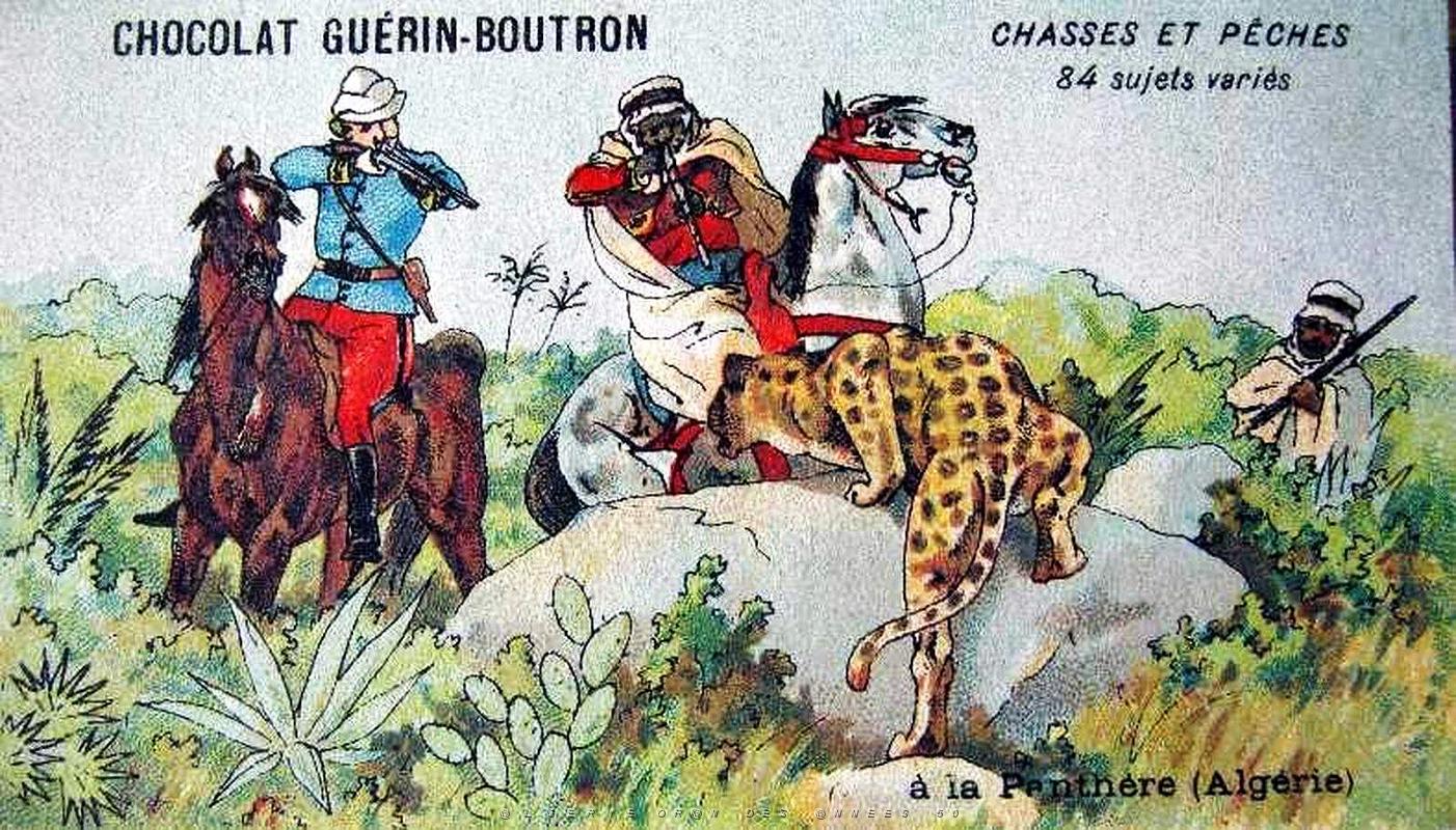 ALGERIE - LA PANTHERE (2).jpg